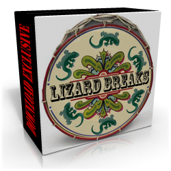 Lizard Breaks Box Iso