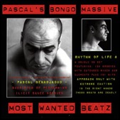 Pascal's Bongo Massive Most Wanted Beats Cover